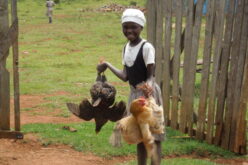 Kind hält in jeder Hand ein Huhn