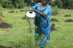 Wangari 2 1