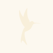 Kolibri-Logo in Beige auf sandfarbenem Hintergrund